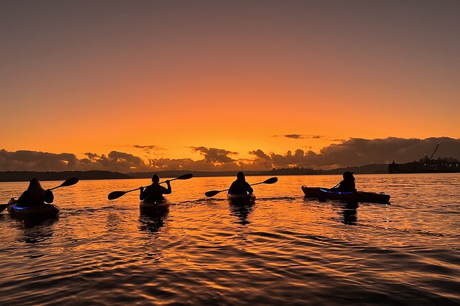 Sunrise Paddle Session on Syndey Harbour (single kayak) - Harbour Bridge sunrise: the view, plus the chance to go under