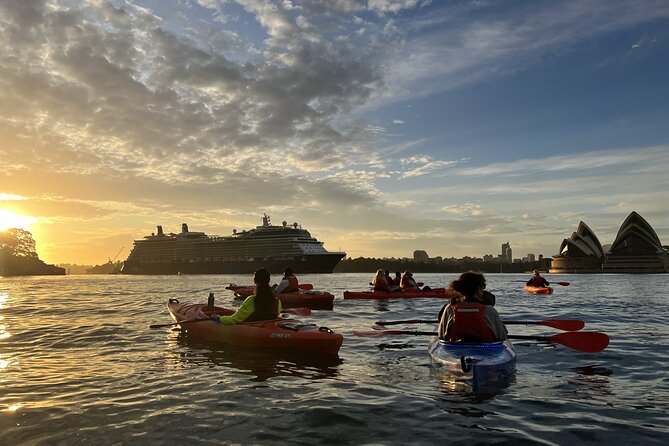 Sunrise Paddle Session on Syndey Harbour (single kayak) - Breakfast at The Flying Bear: the calm reward after paddling