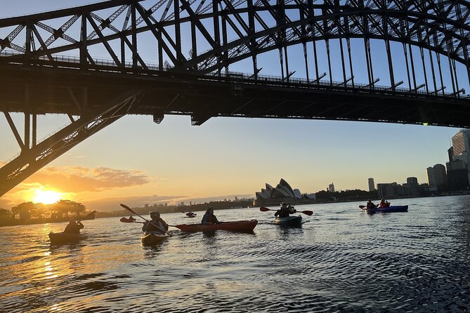 Sunrise Paddle Session on Syndey Harbour (single kayak) - Getting started at Milson Point: Milson Park setup that works