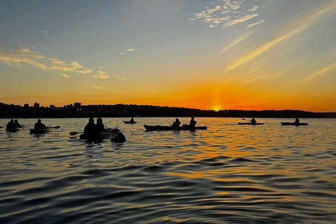 Sunrise Serenity Kayak Tour of Sydney Harbour - Timing, Group Size, and Pace: The Real Comfort Factor