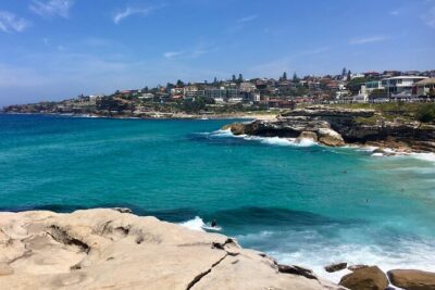 Sydney Beaches Half Day Drive and Walk Tour - Price and What You Get for $200.11 Per Person