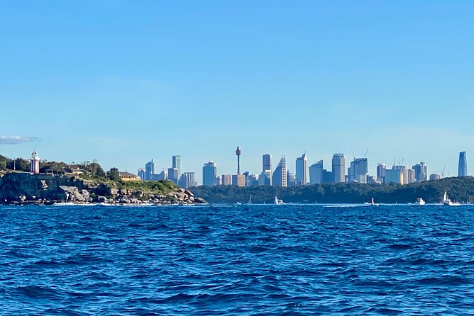 Sydney Beaches Half Day Drive and Walk Tour - South Head via Camp Cove: Harbour Drama and Lighthouse Views