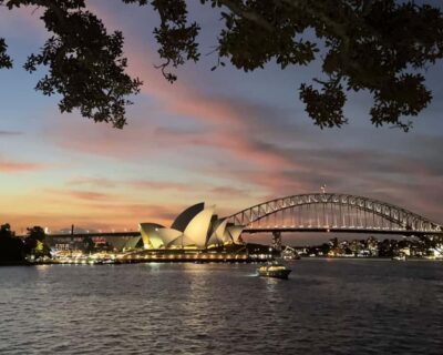 Sydney: Big Bus Panoramic Night Tour by Open-Top Bus - Harbour Bridge and the Opera House: what you should expect to see