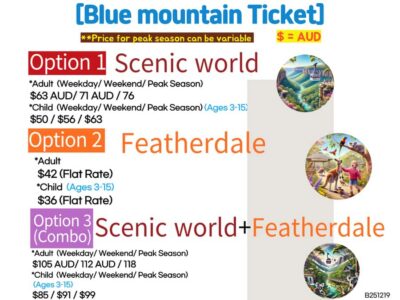 Sydney Blue Mountains, Scenic World, Featherdale - The pickup and small-group ride: where the day’s comfort comes from