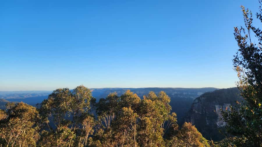Sydney Blue Mountains, Scenic World, Featherdale - Should you book it? My take for smart planning