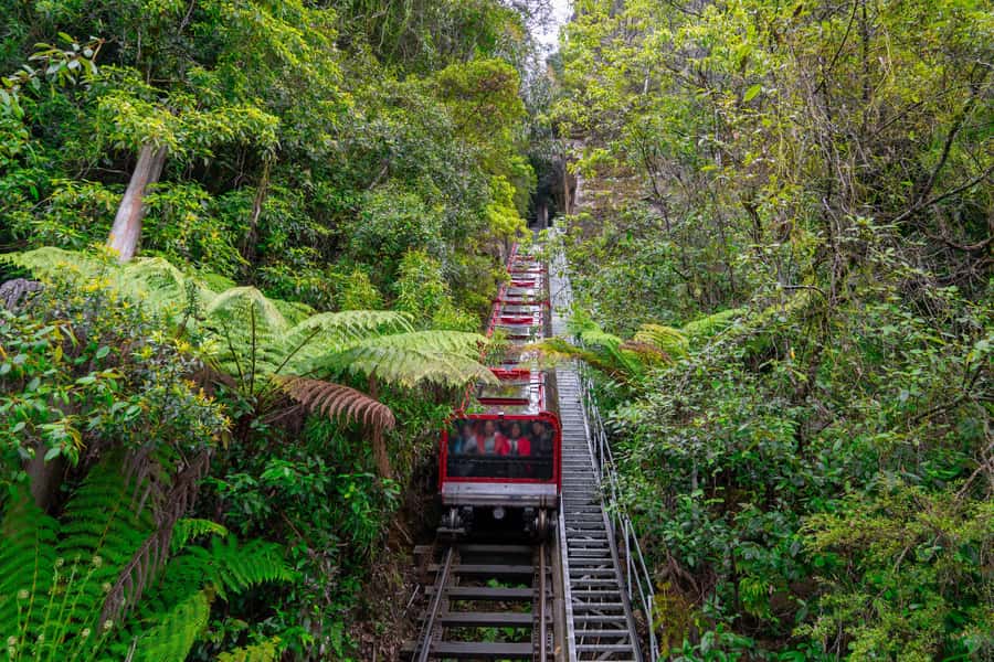 Sydney: Blue Mountains, Scenic World, Zoo & Lincoln's Rock - Key Things I’d Prioritize on This Tour