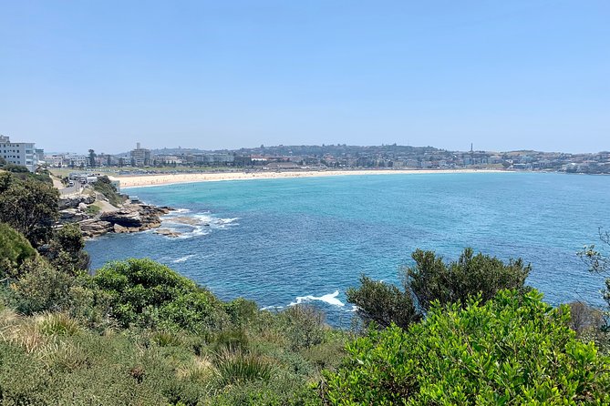 Sydney City, Harbour & Bondi Private Tour, with Airport pick up or drop off - Key highlights worth planning for