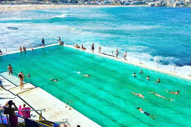 Sydney City, Harbour & Bondi Private Tour, with Airport pick up or drop off - Watsons Bay: wide harbour views at the entrance to the action