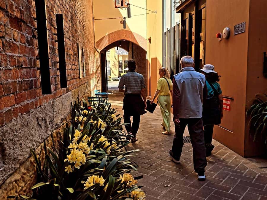 Sydney: City Sights Walking Tour - Price and Value: Is $46 a Good Deal?