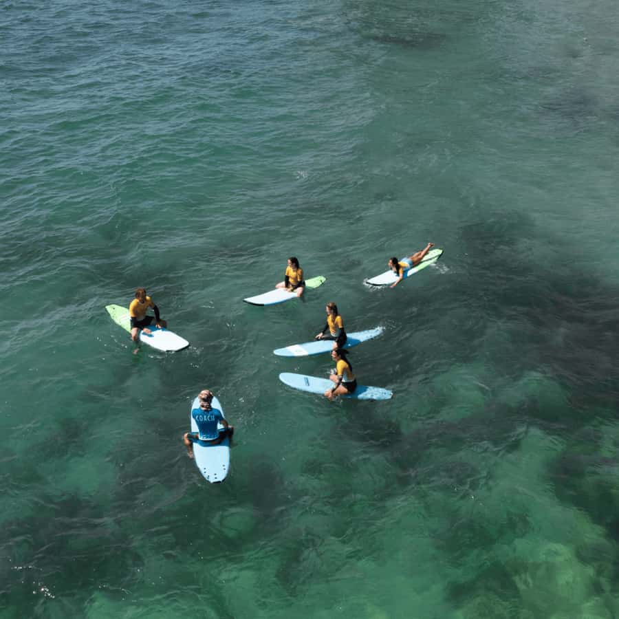 Sydney: Dee Why Beach Group Surfing Lesson - Surf skills that actually transfer: paddling to wave selection