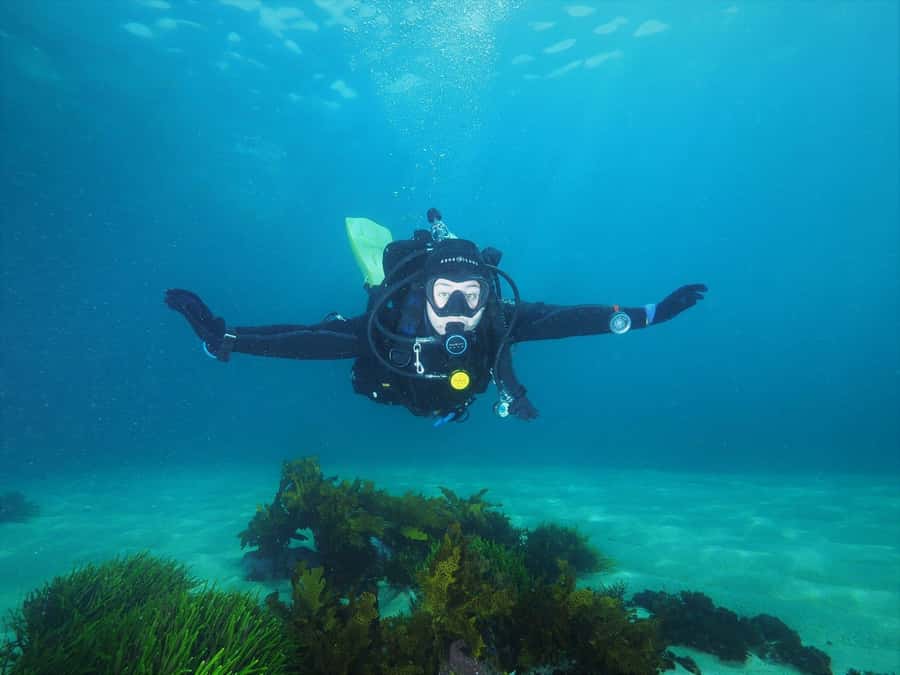 Sydney: Discover Scuba Dive at Australia's most Iconic Beach - Key things I’d bet on