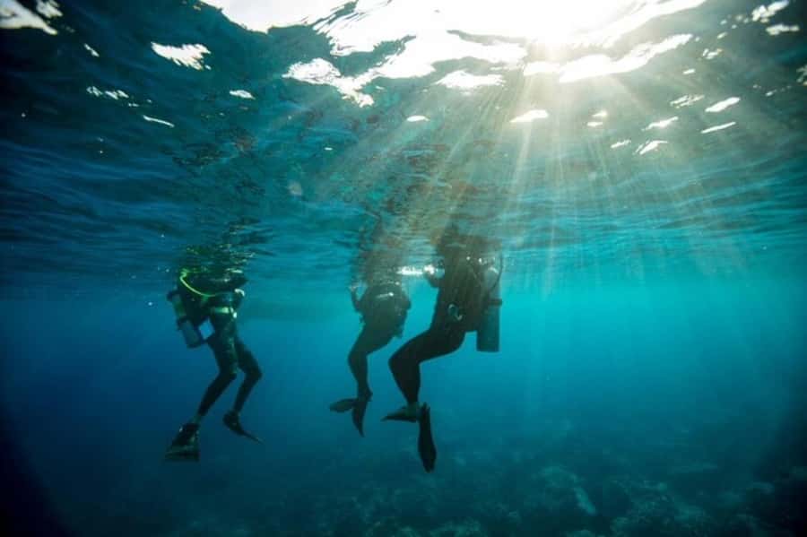 Sydney: Discover Scuba Dive at Australia's most Iconic Beach - From 9:30 check-in to gear-on confidence at Dive Centre Bondi