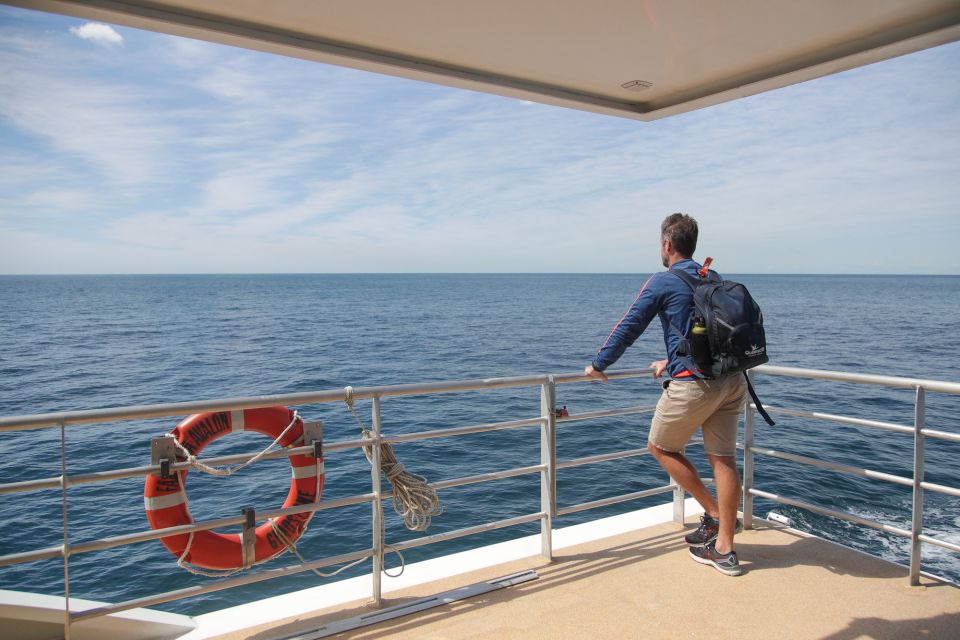 Sydney: Discovery Whale Watching Tour by Catamaran - Drinks, bar access, and what $63 gets you