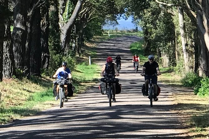 Sydney Electric Mountain Bike Guided Tour - Price and Value: Why This Costs $132.69 (and What You’re Paying For)