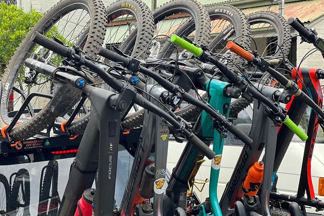 Sydney Electric Mountain Bike Guided Tour - Who This Tour Suits Best (and Who Might Want a Different Plan)