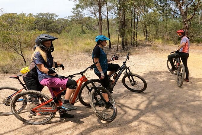Sydney Electric Mountain Bike Guided Tour - E-Bikes That Feel Like Assist, Not a Cheat Code