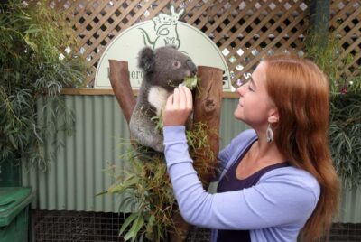 Sydney: Featherdale Wildlife Park Private Tour - Getting from Sydney to Featherdale without the logistics headache