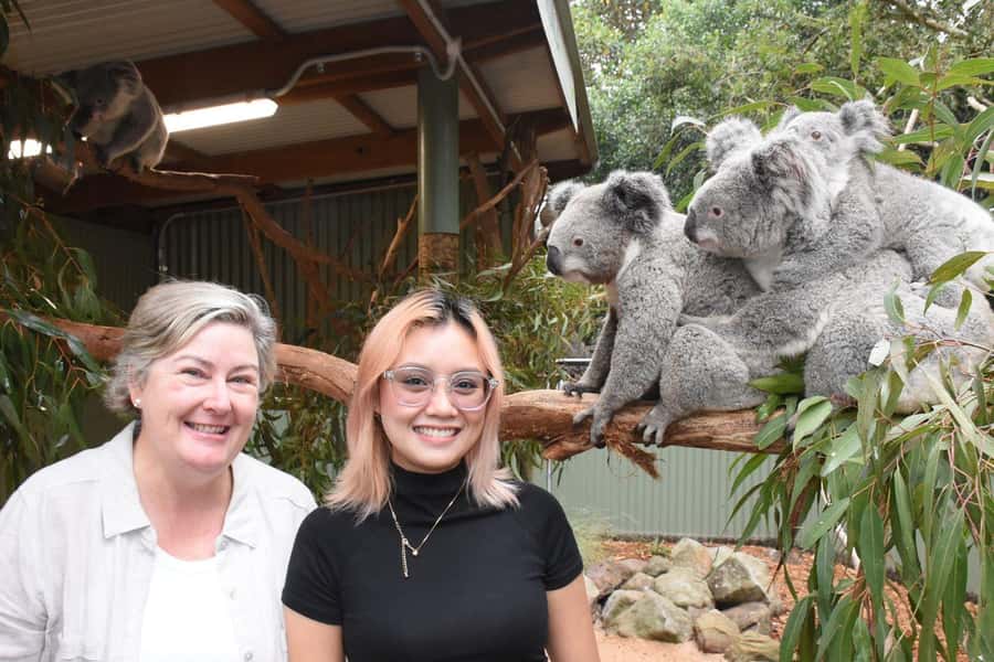 Sydney: Featherdale Wildlife Park Private Tour - Price and value: is $211 per person fair?