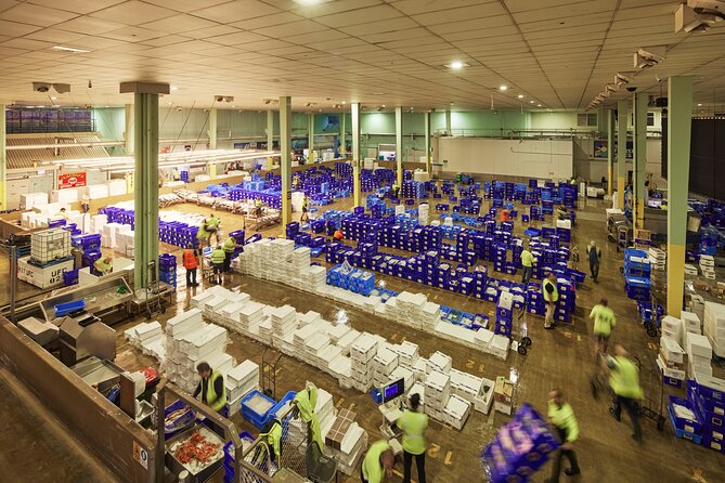Sydney Fish Market Behind the Scenes Tour - Key things that make this tour worth your time
