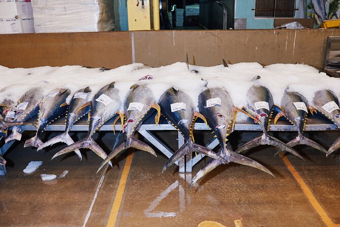 Sydney Fish Market Behind the Scenes Tour - Auction-floor rules and why they matter