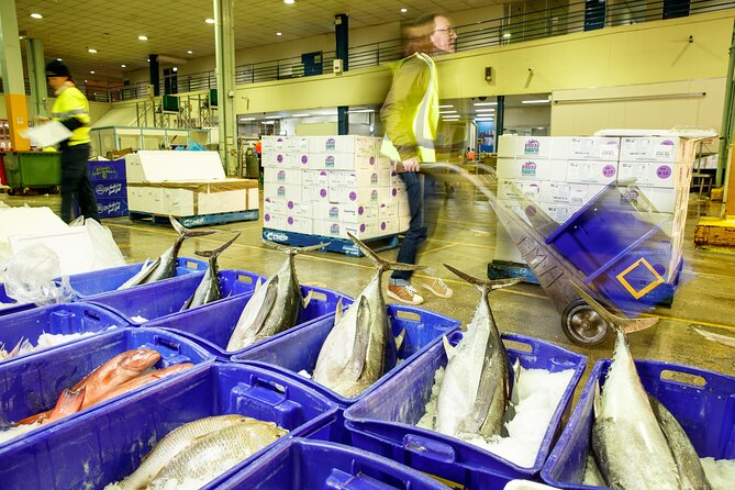 Sydney Fish Market Behind the Scenes Tour - Price and timing: what $56 gets you in a 2-hour window