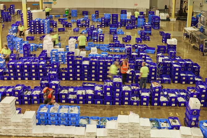 Sydney Fish Market Behind the Scenes Tour - Bottom line: should you book the Sydney Fish Market Behind-the-Scenes Tour?