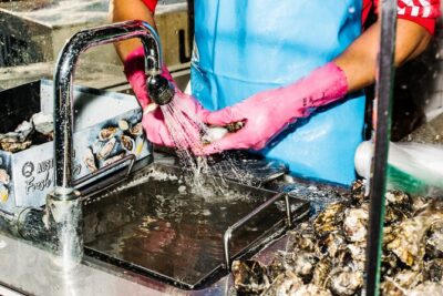 Sydney Fish Market Discovery Tour - How the tour’s 1-hour format changes what you get