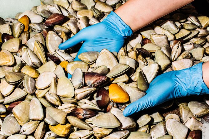 Sydney Fish Market Discovery Tour - Picking seafood using season and sustainability, not guesswork