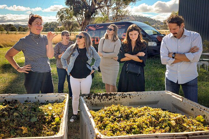 Sydney Grains and Grapes Hunter Valley Wine and Beer with Lunch - Key highlights you should care about