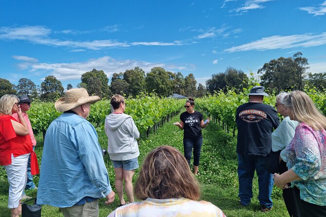 Sydney Grains and Grapes Hunter Valley Wine and Beer with Lunch - Why the small-producer focus is more than marketing