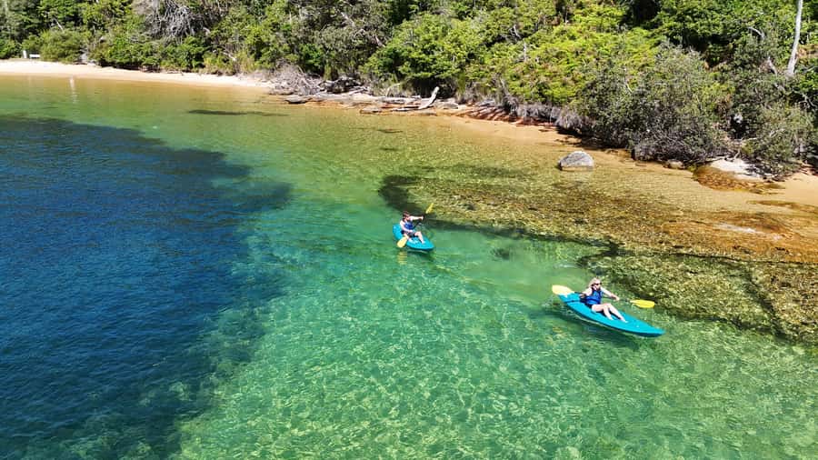 Sydney: Guided Kayak Taster Tour from Manly - Key highlights worth your attention
