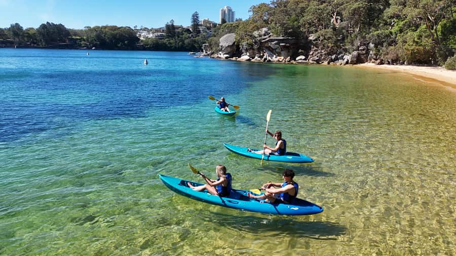 Sydney: Guided Kayak Taster Tour from Manly - Who this tour suits best (and who should skip it)