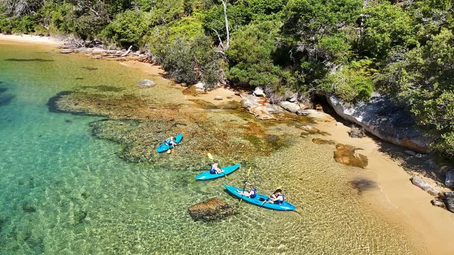 Sydney: Guided Kayak Taster Tour from Manly - Manly Sailing meeting point: finding the office in a hurry