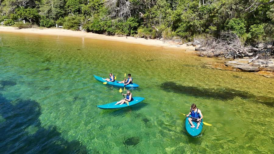 Sydney: Guided Kayak Taster Tour from Manly - Gliding along Manly’s shoreline in a double sit-on-top kayak