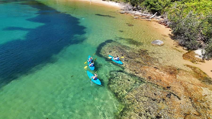 Sydney: Guided Kayak Taster Tour from Manly - Store Beach and the 15-minute speedboat segment: why the plan includes power help