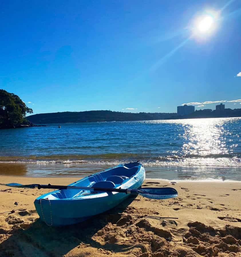 Sydney: Guided Kayak Taster Tour from Manly - The secluded golden beach hour: relax, photos, or paddle on your own