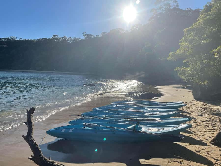 Sydney: Guided Kayak Taster Tour from Manly - What’s included (and what to bring) for a splishy 90 minutes