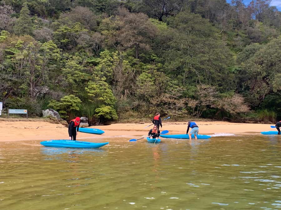 Sydney: Guided Kayak Taster Tour from Manly - Price and value: is $46 worth it?