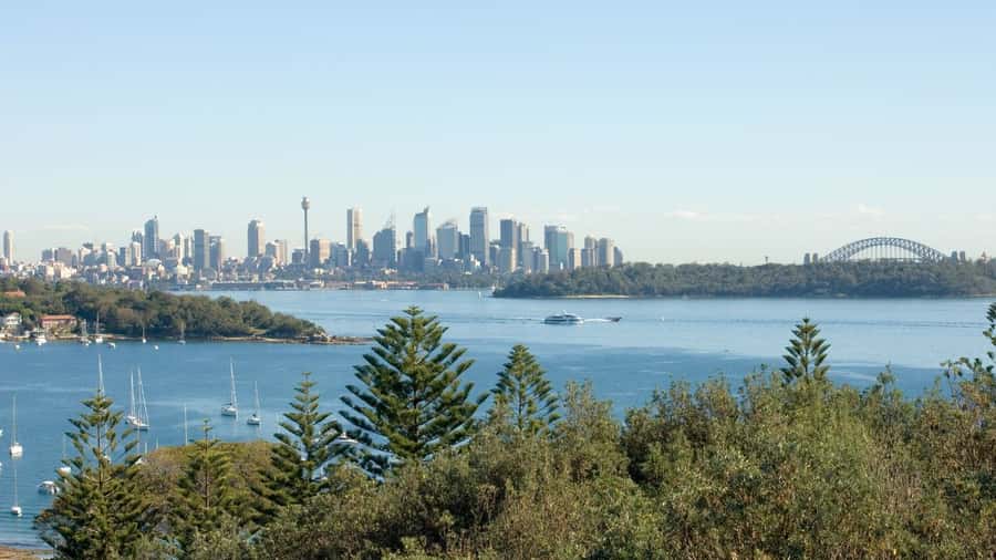 Sydney: Half-Day Private Tour of Sydney's Northern Beaches - The cruise option and the value of flexible timing