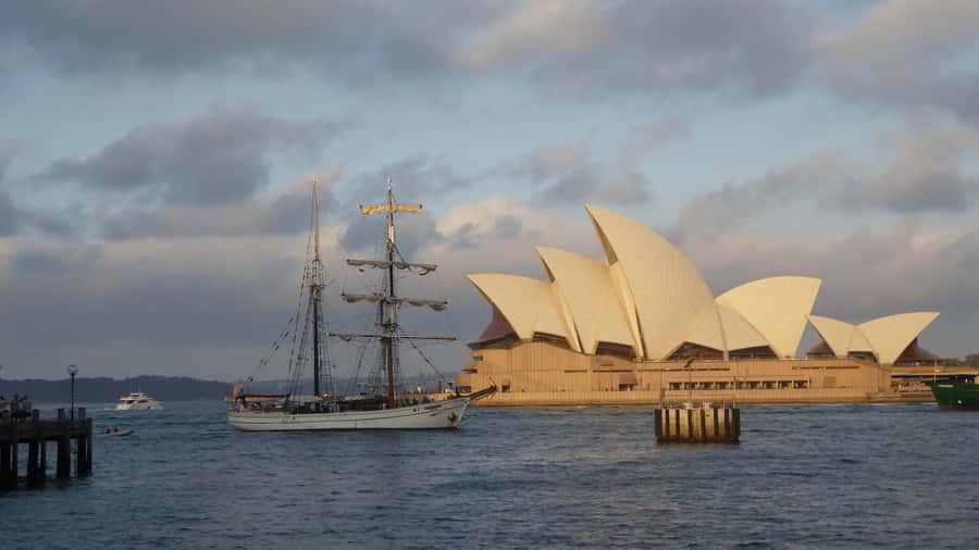Sydney: Harbor Sunset Cruise with Dinner - Key points to know before you go
