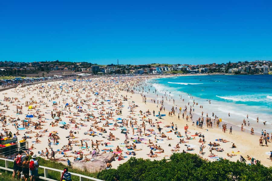 Sydney Harbour & Bondi: Morning Highlights with Breakfast - Key Highlights You’ll Feel Instantly