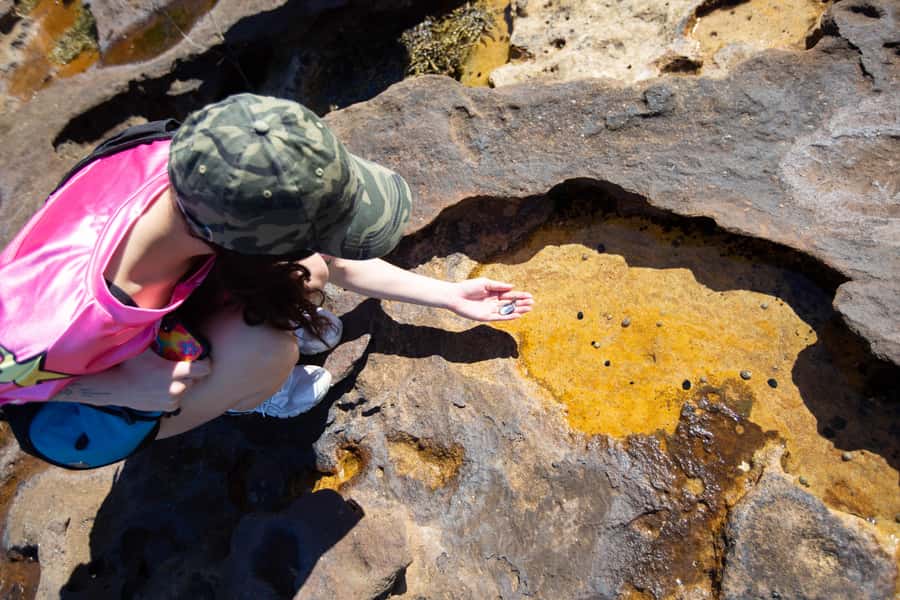 Sydney Harbour National Park 2-Hour Walking Tour - Meeting at EcoWalks Tours and getting your bearings fast