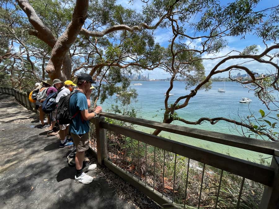 Sydney Harbour National Park 2-Hour Walking Tour - Two hours in Sydney Harbour National Park: pace, walking feel, and what to wear