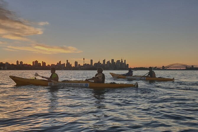 Sydney Harbour Sunset Dinner Paddle - Paddling across Rose Bay to Milk Beach