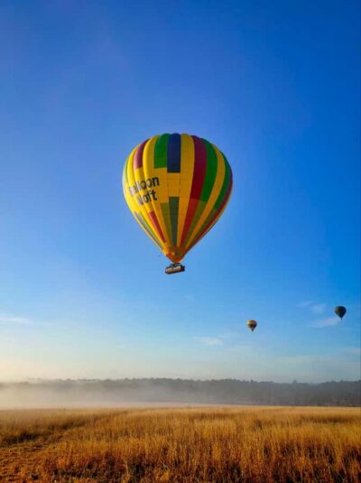Sydney: Hunter Valley Sunrise Balloon Flight with Transfer - The Balloon Morning: What You’ll Do Before You Float