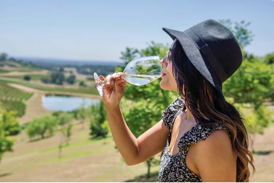Sydney: Hunter Valley Wineries Day Trip with Food Tastings - How the three winery stops work (and how to make them count)