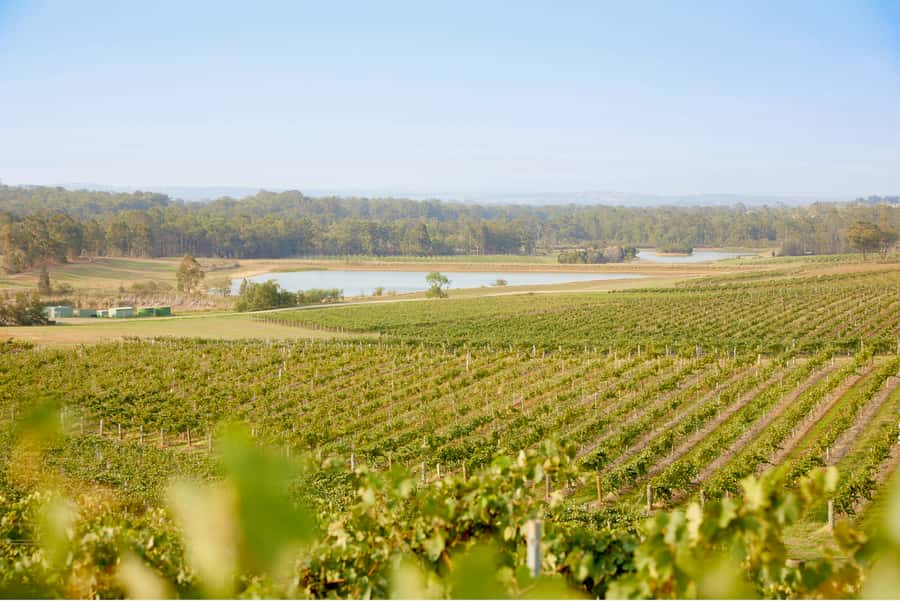 Sydney: Hunter Valley Wineries Day Trip with Food Tastings - What you’re paying for: $336 value check