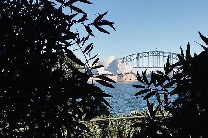 Sydney Icons & Bondi Half Day Private Tour - The Rocks: convict-era Sydney before the big harbor photos
