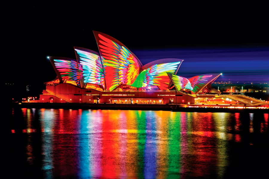 Sydney: Intimate Vivid Harbour Cruise with Canapes - Why this Vivid Harbour Cruise feels calmer than the big boats