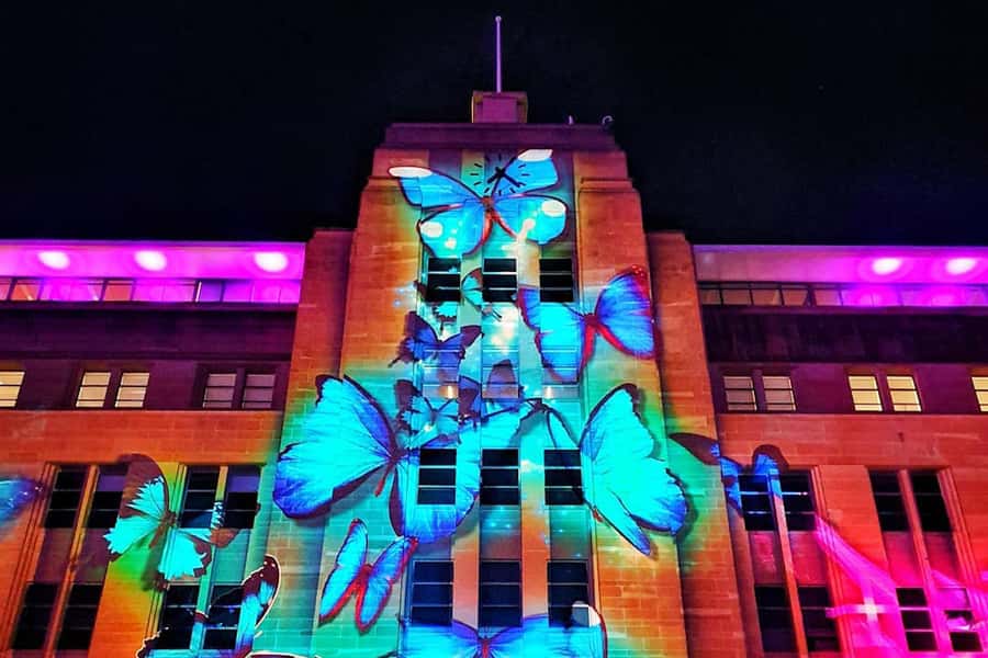 Sydney: Intimate Vivid Harbour Cruise with Canapes - Crowds, weather, and what the “indoor and outdoor” really means